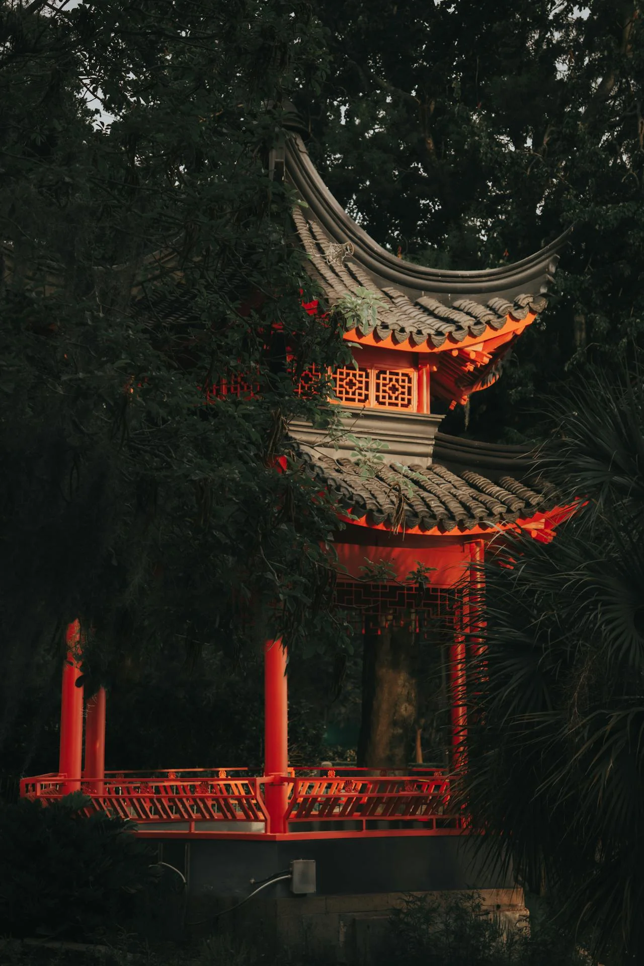 Japanse natuur — zen